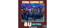 Champions! 8U Teal FXBG Flag